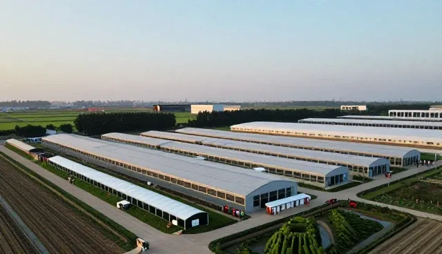 多场景下的教学设计如何提升课堂效果